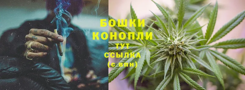 Шишки марихуана Bruce Banner  купить наркоту  Советский 